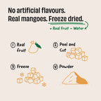 Mango Milkshake 24g Protein Powder - 1 Kg