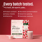 Strawberry Shake 24g Protein Powder - 1 Kg