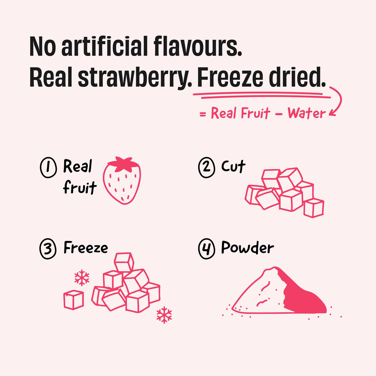 Strawberry Shake 24g Protein Powder - 1 Kg