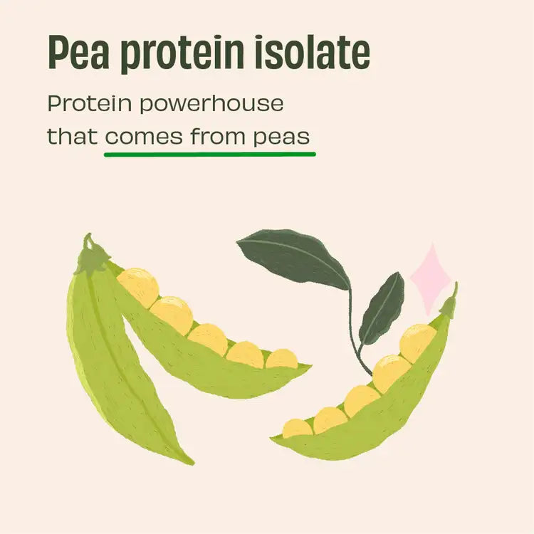 Pista Badaam 24g Plant Protein - 1 Kg